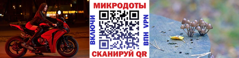 Псилоцибиновые грибы MAGIC MUSHROOMS  Купить закладки  Избербаш 